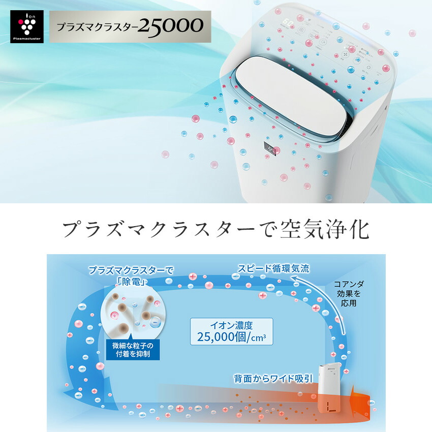 楽天市場】2/19 20:00〜 当店限定P5倍 × 楽天マラソン ◇【購入者全員