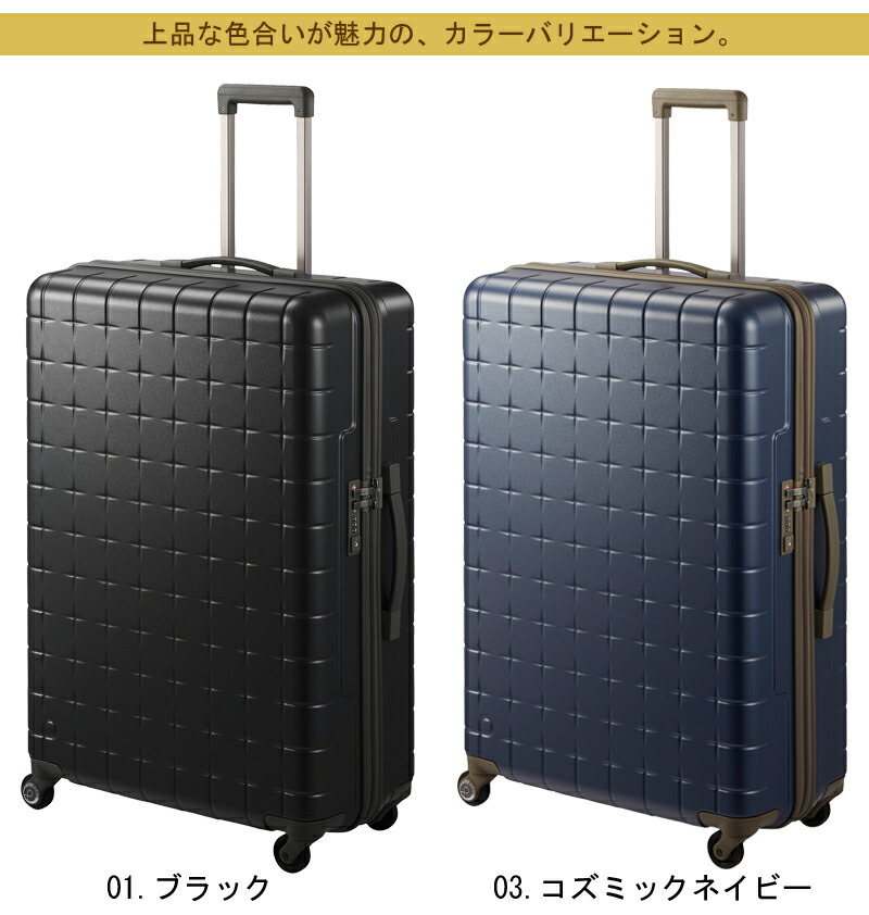 楽天市場】【送料無料】【無料預入手荷物】 エース(ACE) PROTECA