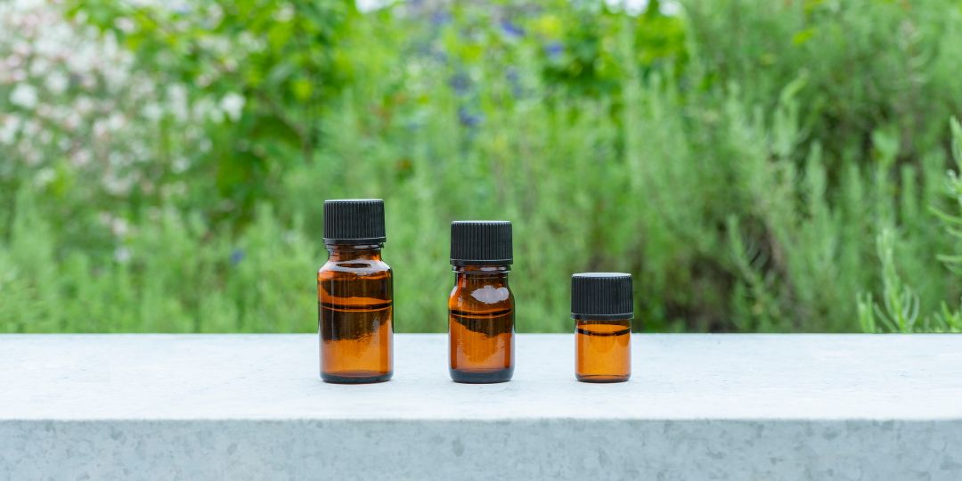 楽天市場 | 生活の木 公式楽天市場店 - アロマ基本の「き」