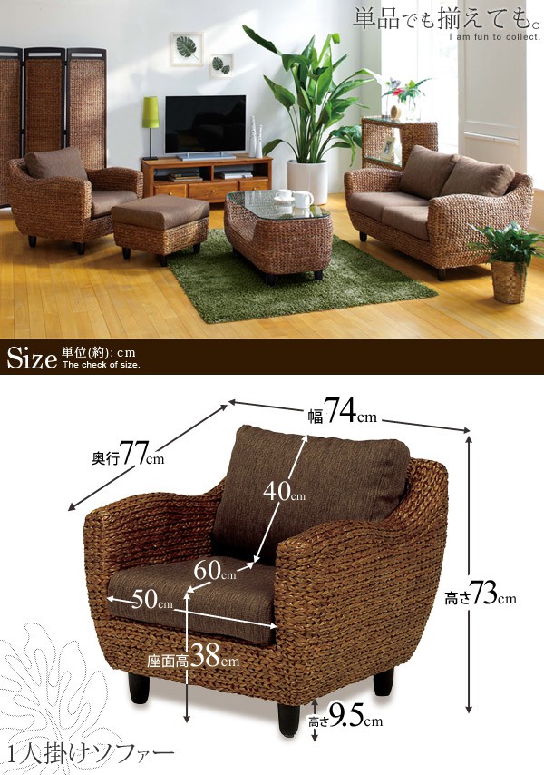 楽天市場】【8%OFFクーポンあり☆2/20(金)限定】ウォーターヒヤシンス