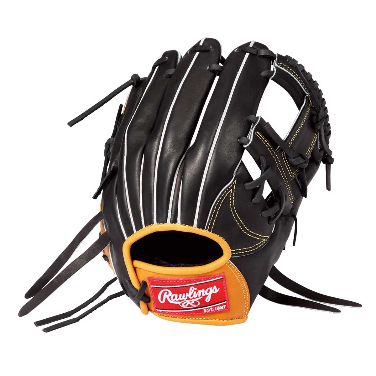 限定品Rawlings硬式グラブ RGGC限定品 NP6 宗モデル ローリングス HOH