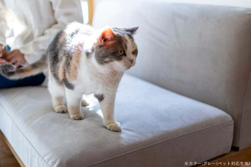 楽天市場】【ペット対応生地】 Fumi 無駄のないソファ ベース+背×2