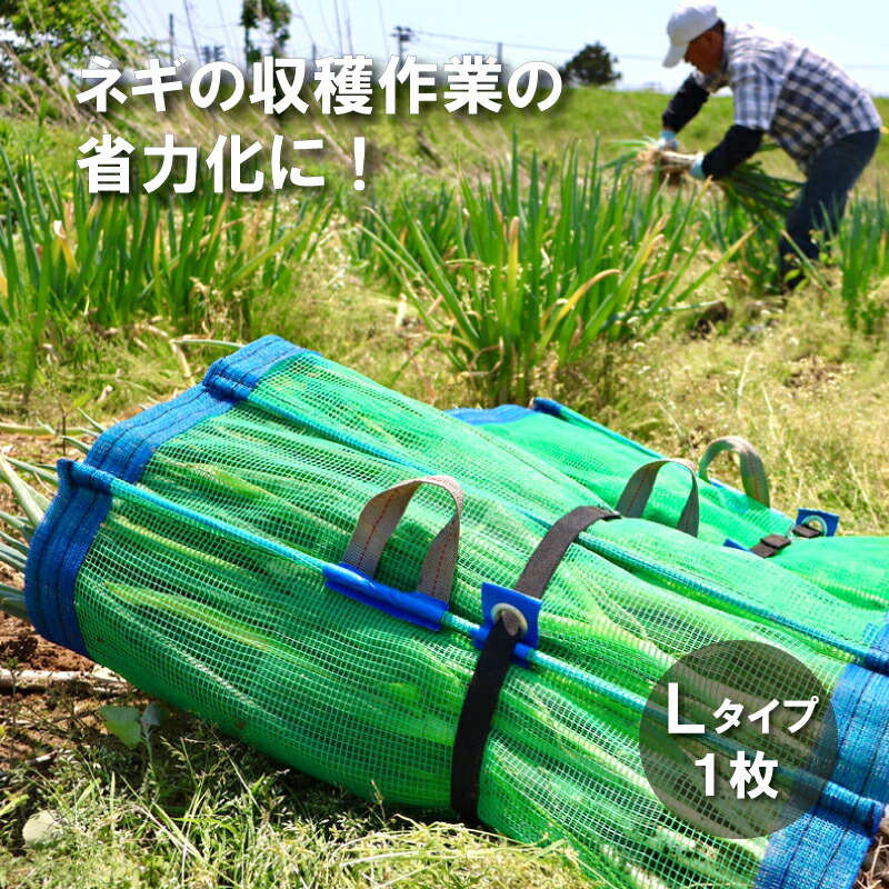 MAPPON REED ねぎ 5本セット MAPPON REED ねぎ 5本セット MAPPON REED