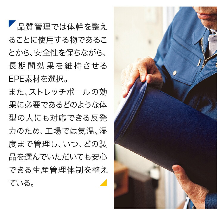 楽天市場】LPN ストレッチポールEX(ネイビー) スタートBOOK