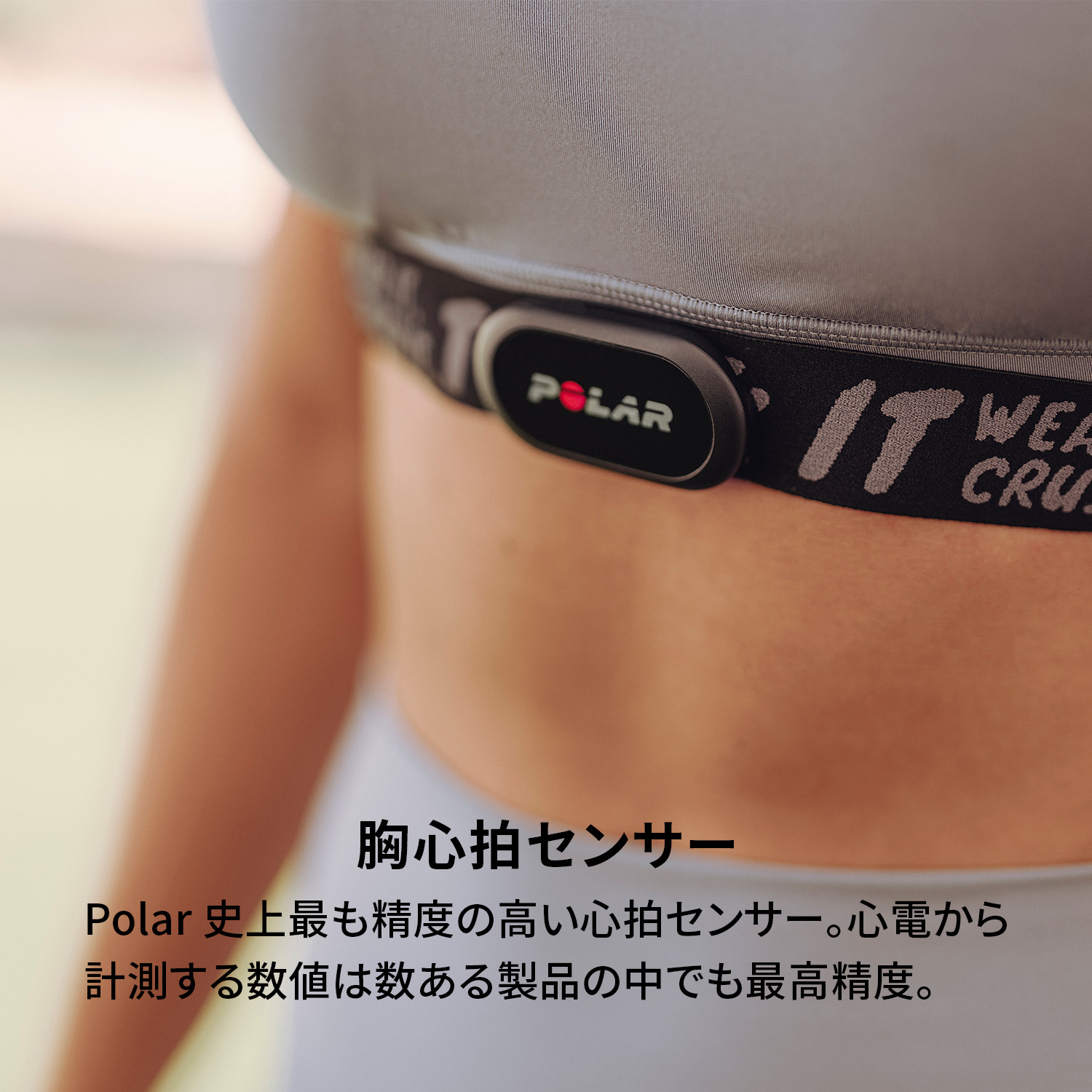 楽天市場】【ポラール公式ストア】Polar H10 N 胸心拍センサー 高精度