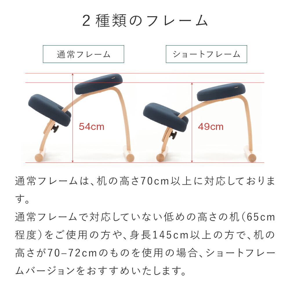 楽天市場】【通算156週1位！】バランスチェア バランス イージー 学習