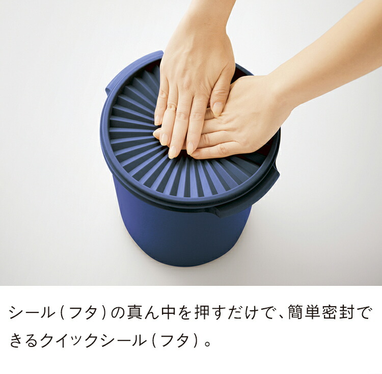 新品】 タッパーウェア マキシクイーンデコレーター 2個セット