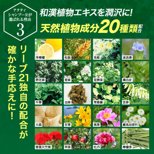 楽天市場】【10%OFF】リーブ21公式 アクティシャンプーR 200ml 3本
