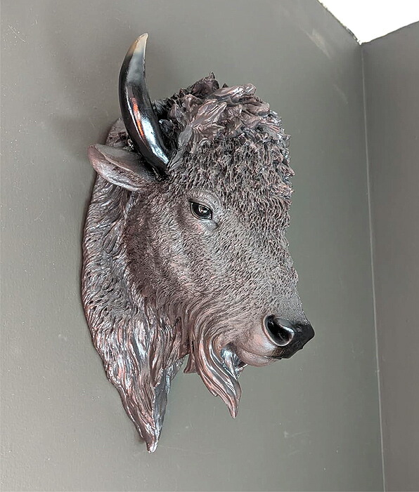 楽天市場】リアルなブラックバッファロー/バイソン頭部（ウォール