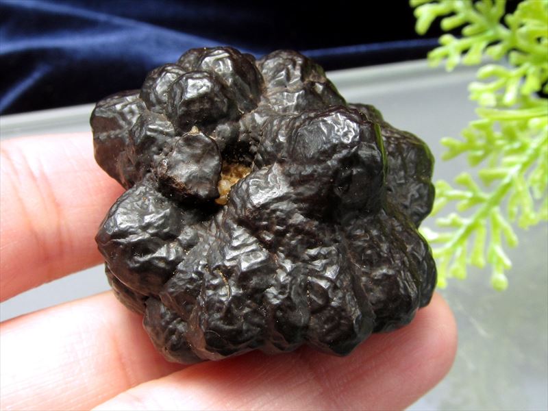 楽天市場】○激レア エジプトの星・予言石【プロフェシーストーン(天然