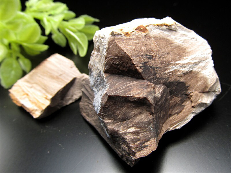 楽天市場】リアル木の化石！【珪化木 原石】重さ20g-30g シリカ化した