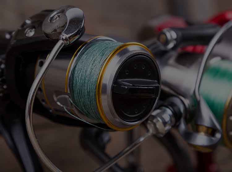 23 カルディア SW 10000-Pのスペック | 釣りクラウド