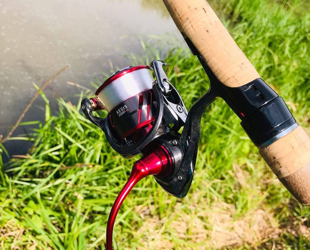 17 イージス 2505F-Hのスペック | 釣りクラウド