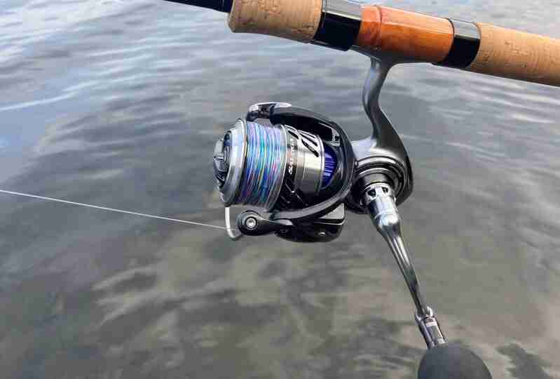 17 ソルティガ BJ 4000SHのスペックとインプレ | 釣りクラウド
