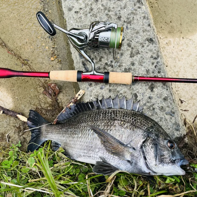 ワールドシャウラ ブルー 2701FF 希少 シマノ ワールドシャウラ 2701FF