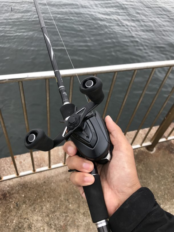 ディアルーナ XR［DIALUNA XR］（ベイトロッド）を使ってみたので