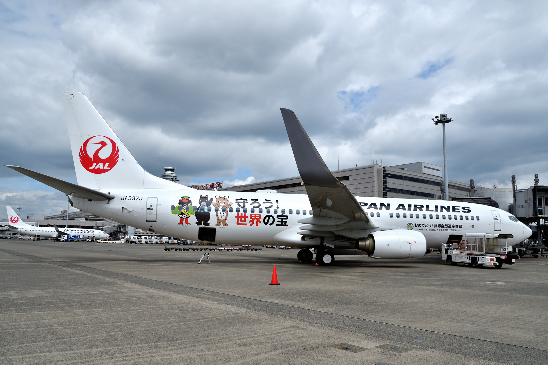 JAL、奄美～沖縄の世界遺産登録で特別塗装機就航。機体に希少動物描く