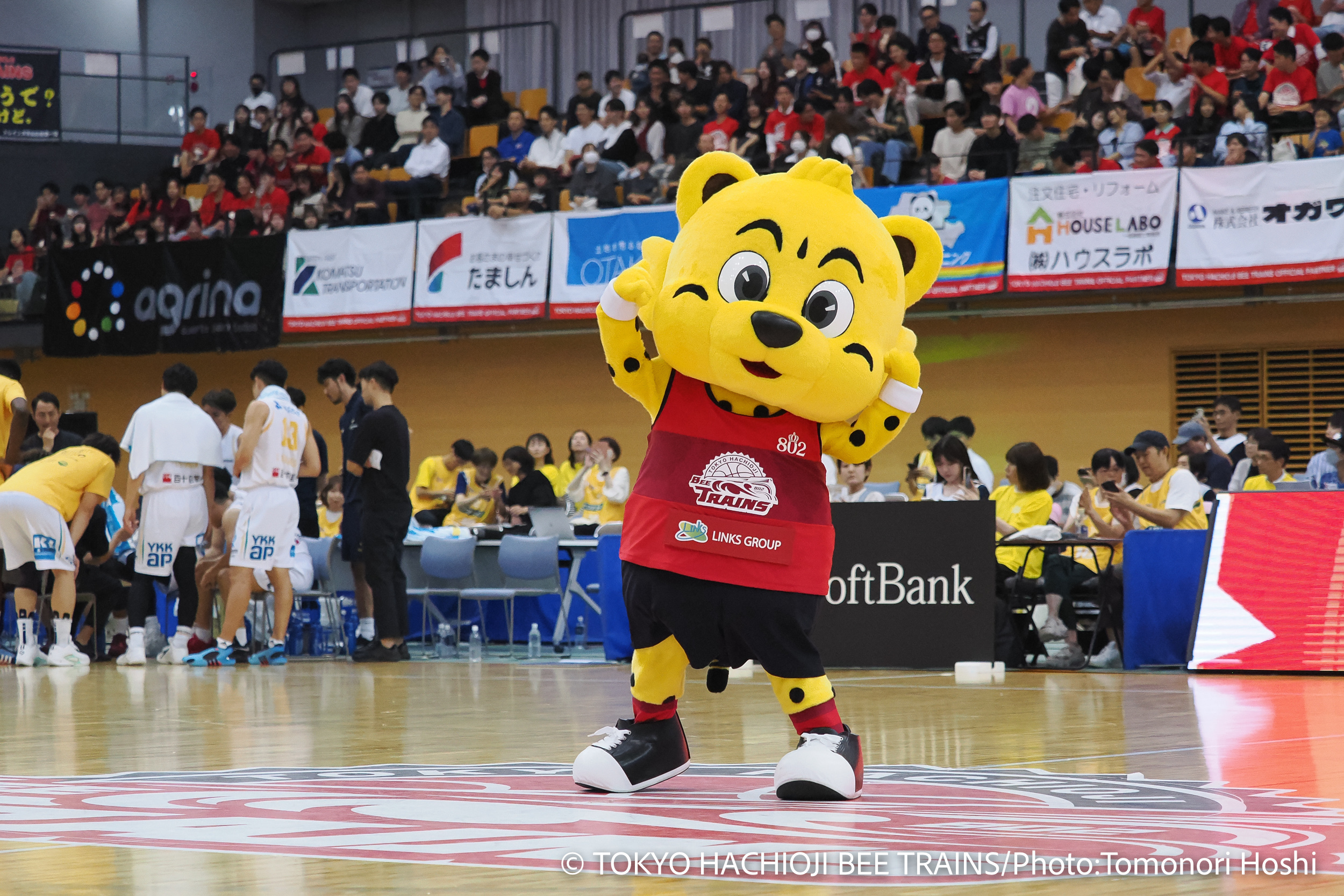 試合写真販売のお知らせ※5/28更新 | 東京八王子ビートレインズ