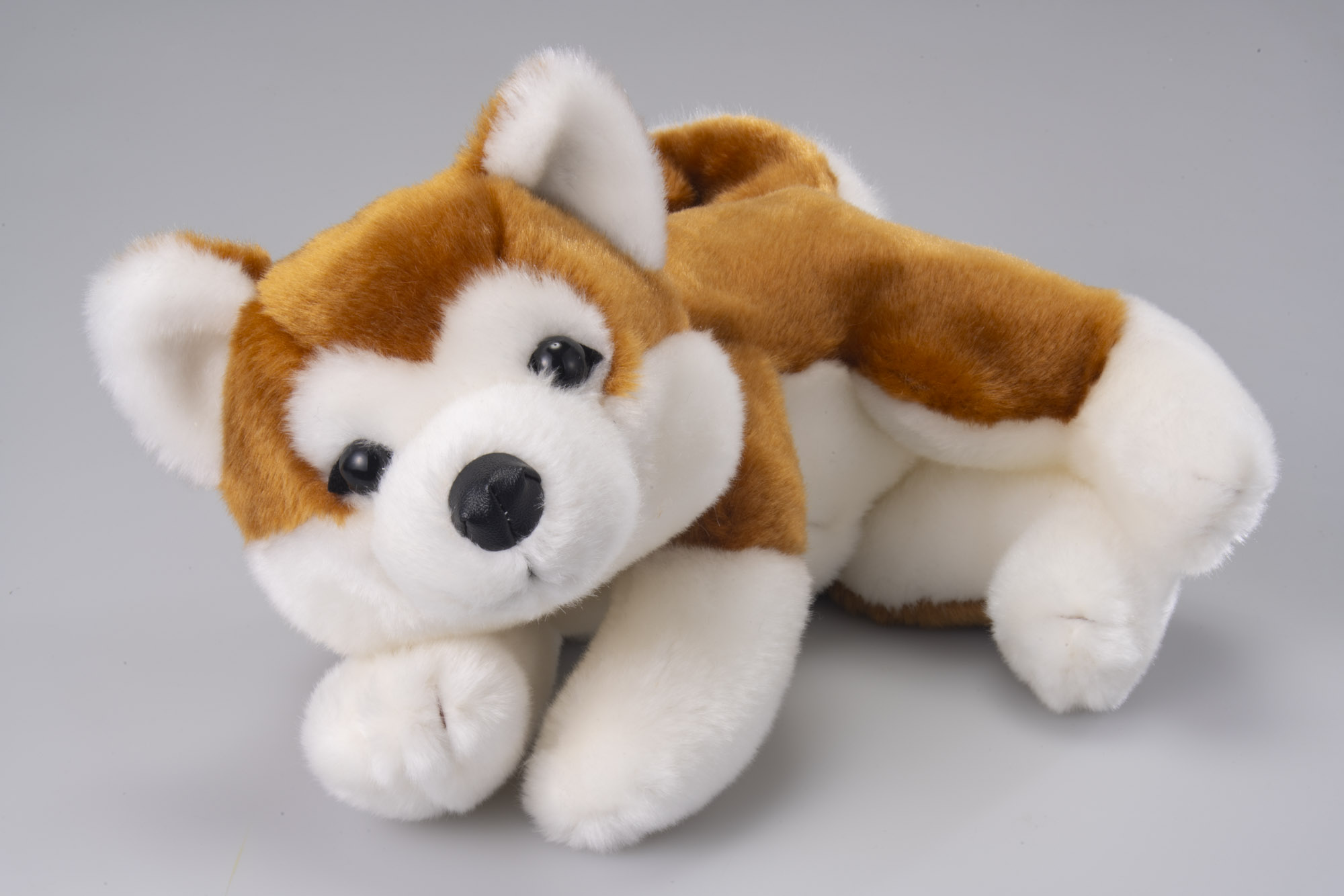 秋田犬 HACHIハチ | TRENDMASTER