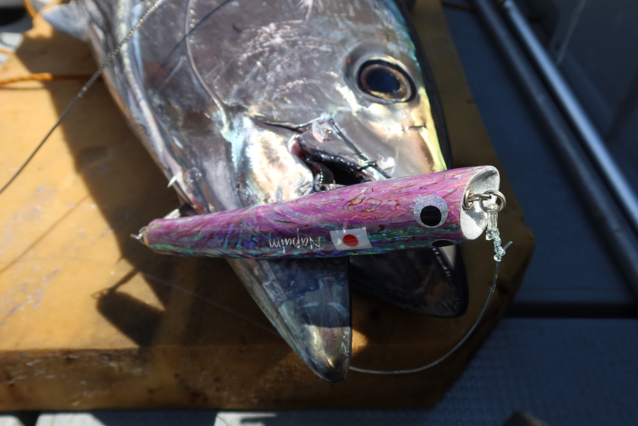 WhiteInsight 611 12 | TRUTH JAPAN