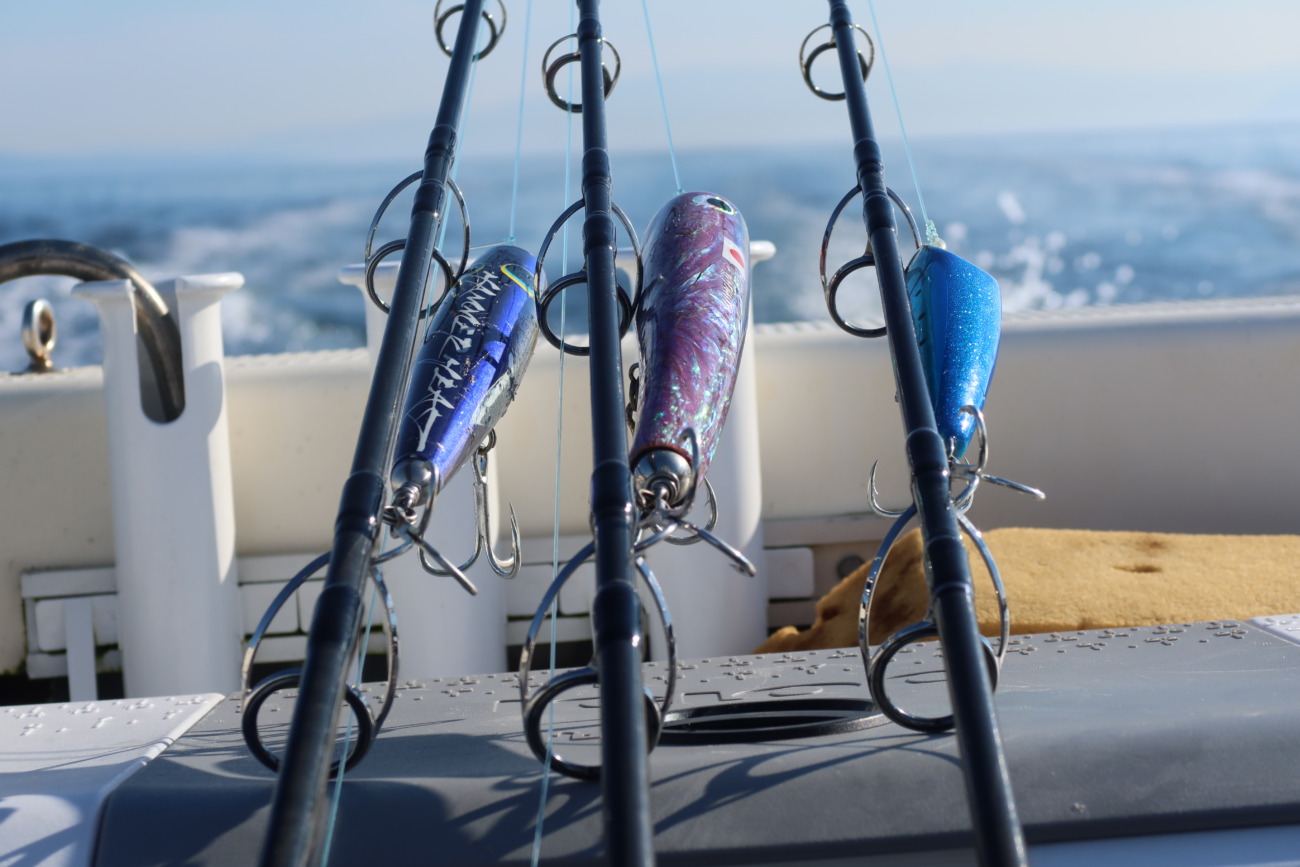 WhiteInsight 7610 truthJapan 新品1/28.29のみ WhiteInsight 7610