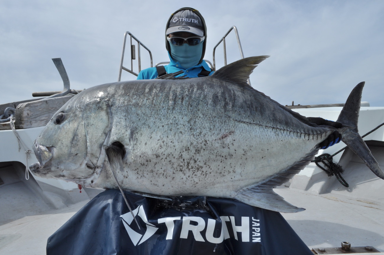 WhiteInsight 828 | TRUTH JAPAN