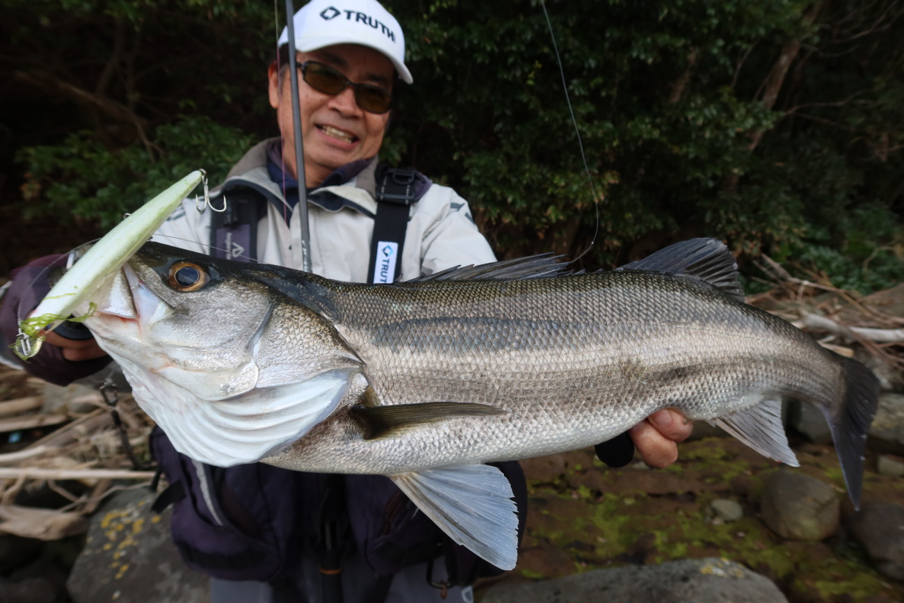 Permission 89SM (SeaBass Spinning Model) | TRUTH JAPAN