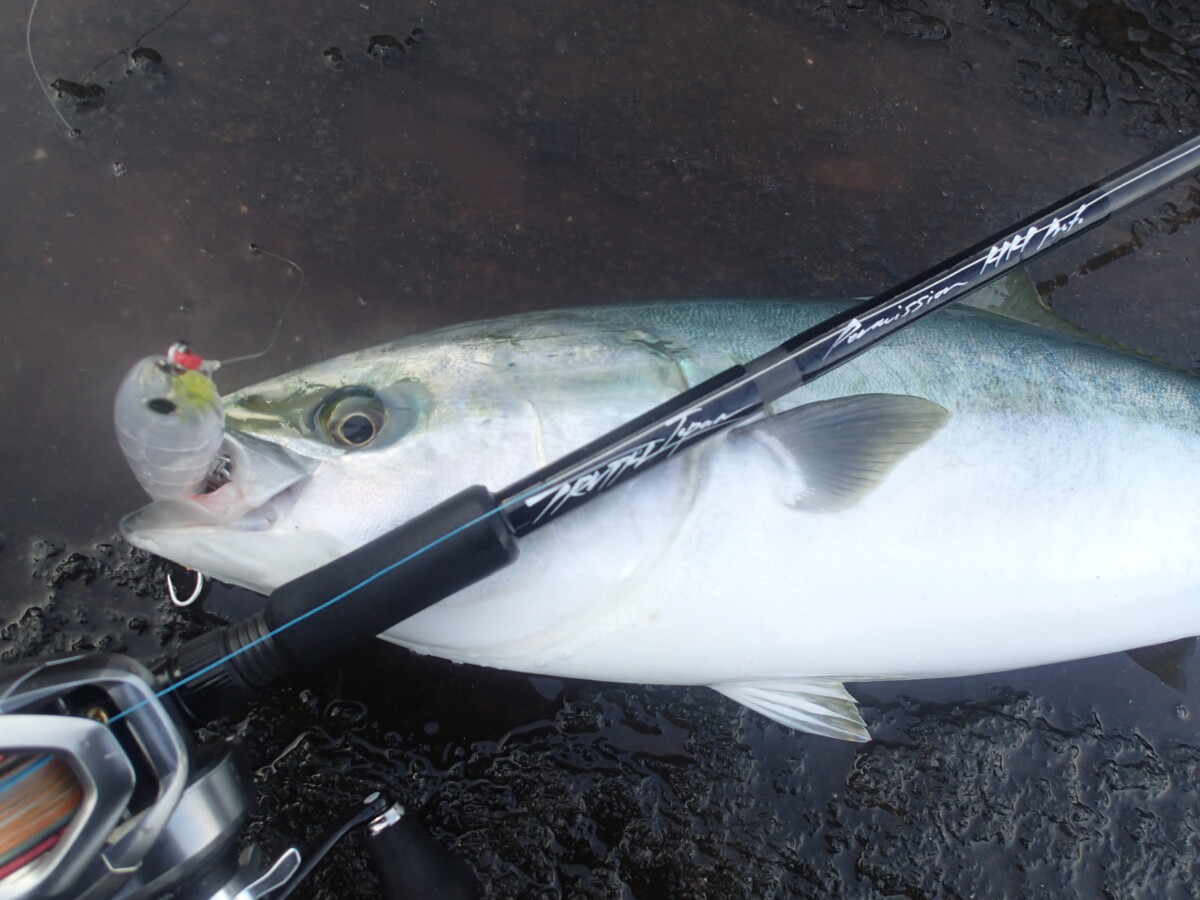 ショア青物（ヤズ）（OceanSprinter844 BAIT Custom) | TRUTH JAPAN