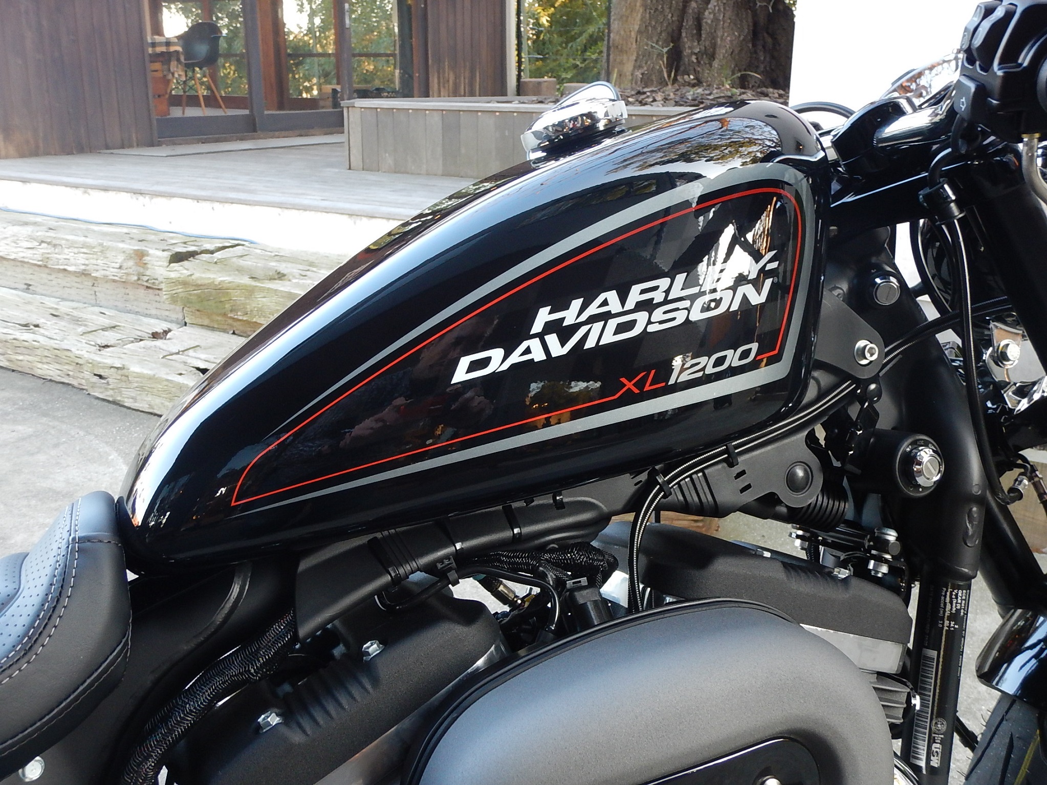 人気のスポーツスターが、新入荷！！ [最新情報] | U-MEDIA (ユー