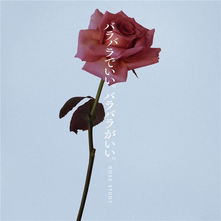 uka rose studyが11月1日(金)より発売！2024年ホリデーコフレのテーマ