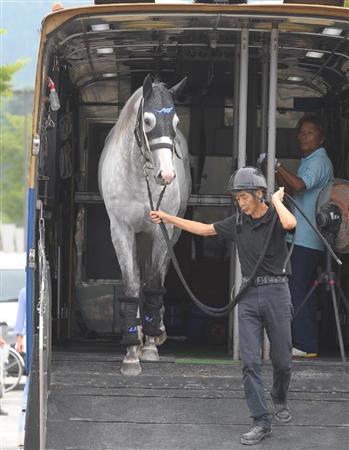 ゴールドシップ帰厩、札幌記念から凱旋門賞に参戦｜競馬ニュース｜競馬