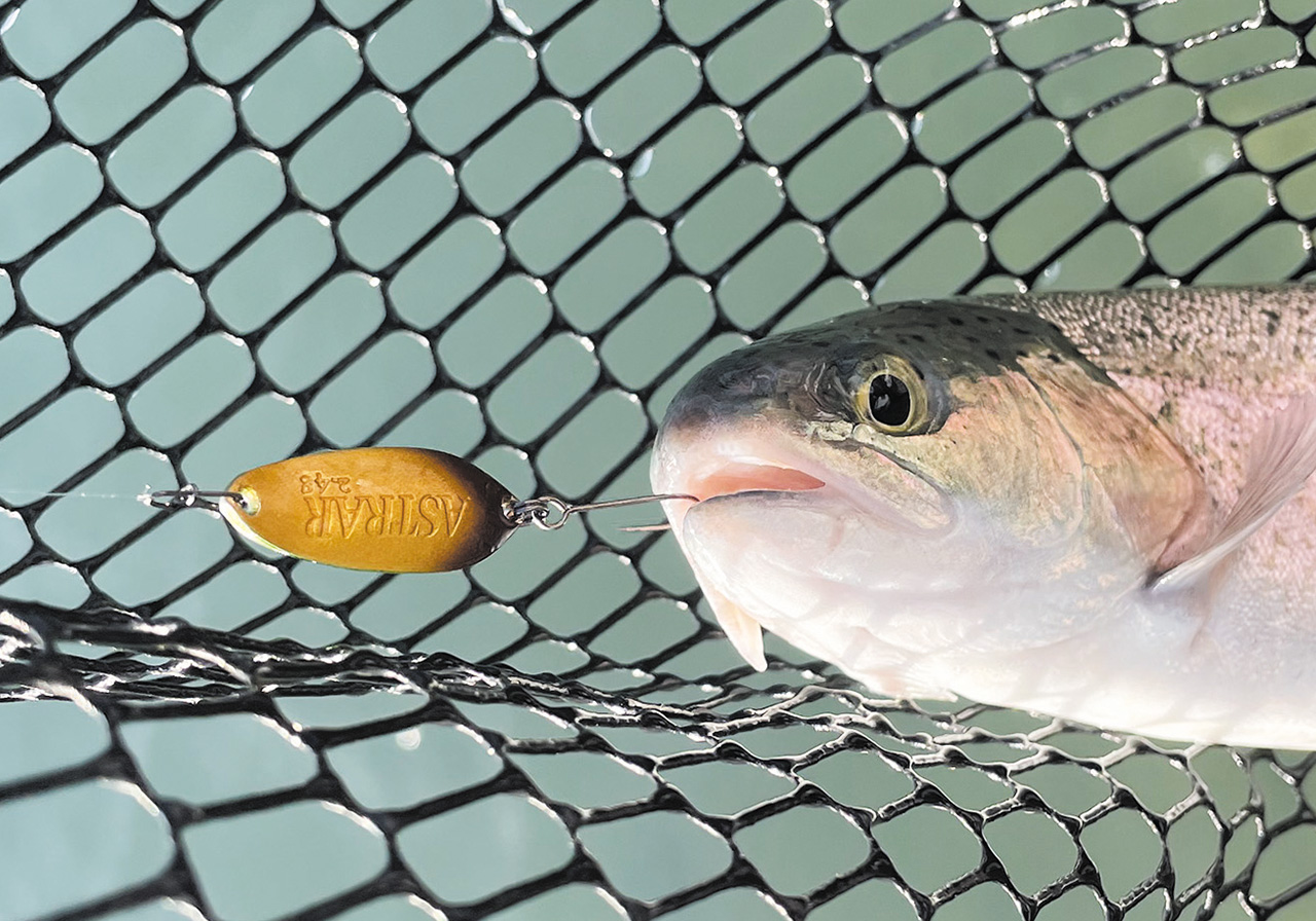 ASTRAR（アストラル） | SPOONS | ValkeIN ヴァルケイン