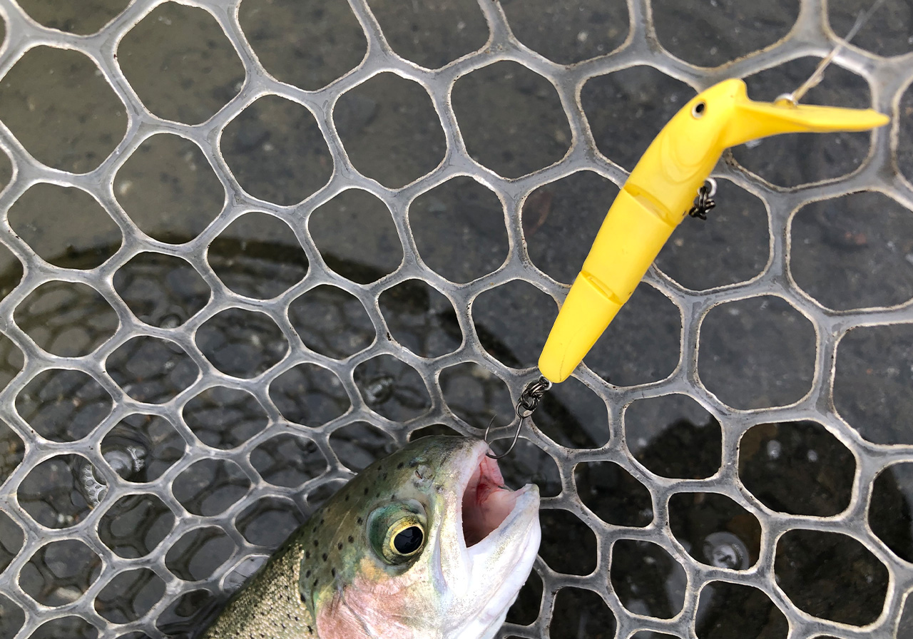 Hydram nano F（ハイドラム ナノ フローティング） | HARDBAITS