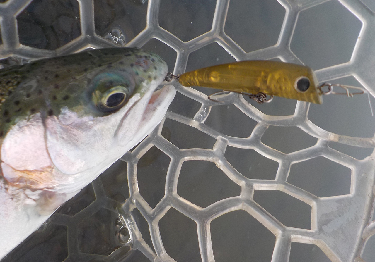 ヴァルケイン ジュジュ JUJU 6個セット ヴァルケイン ジュジュ JUJU 6