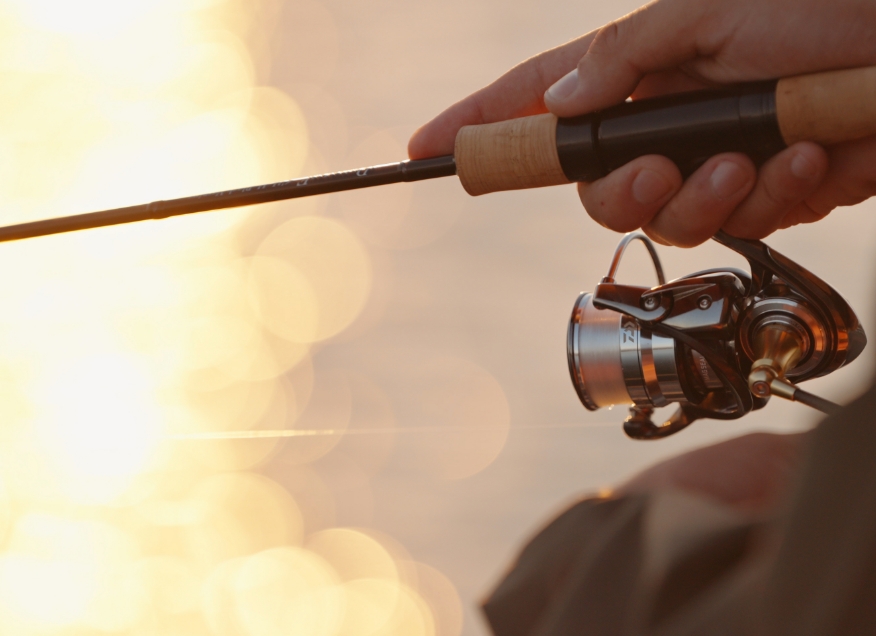 DainsleiF Gaia Blitz（ダーインスレイヴ ガイアブリッツ） | RODS