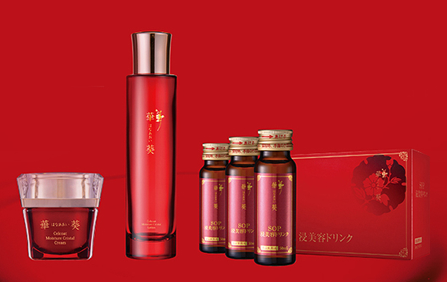 ベガ化粧品事業 | 株式会社ベガ（VEGA）化粧品事業・次世代エネルギー