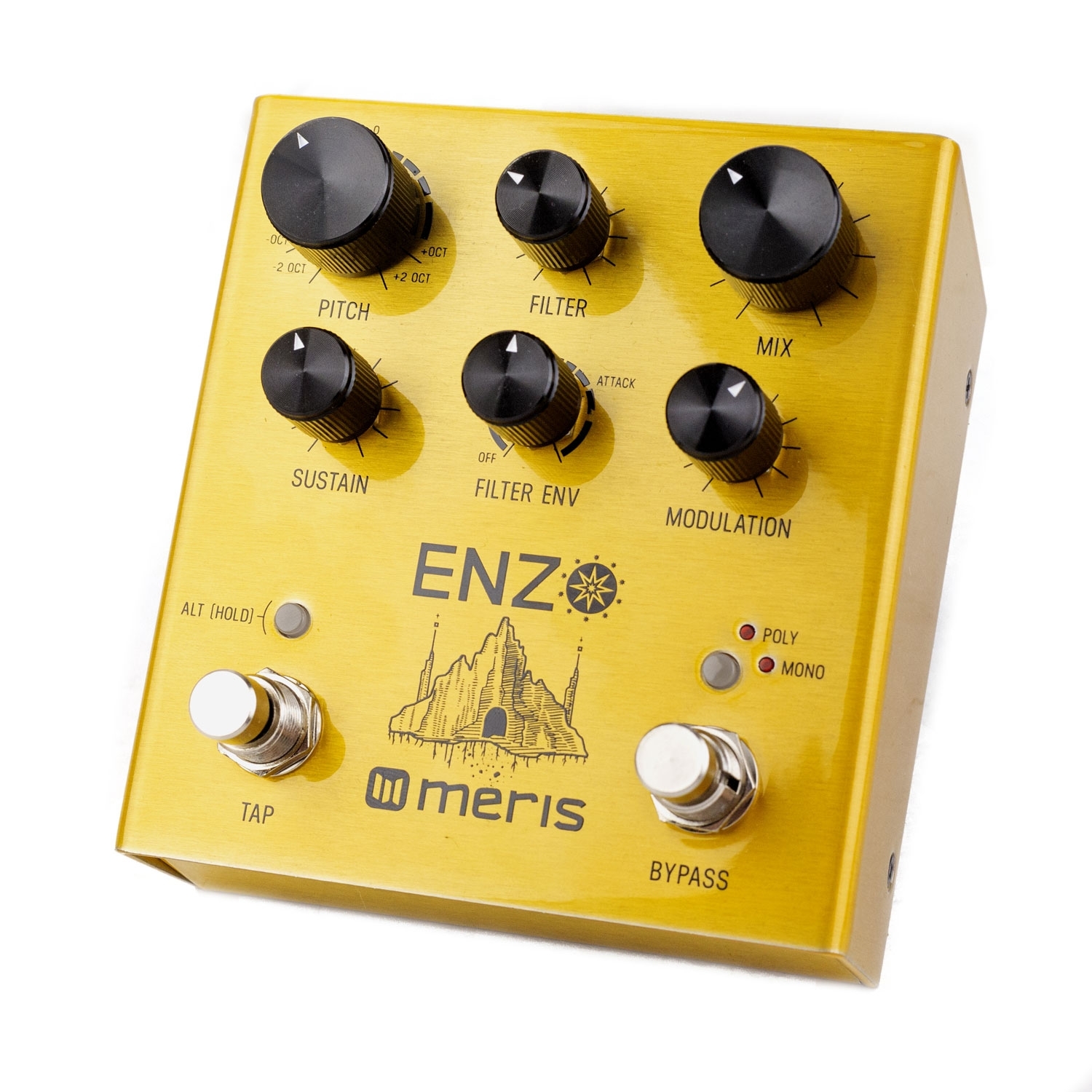 Meris Enzo - Meris Synthesizer Pedal - Meris Enzo Pedal - Vintage King