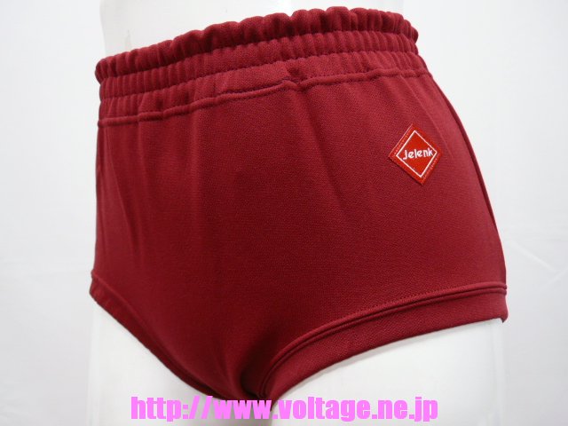 アシックススクールブルマーU753