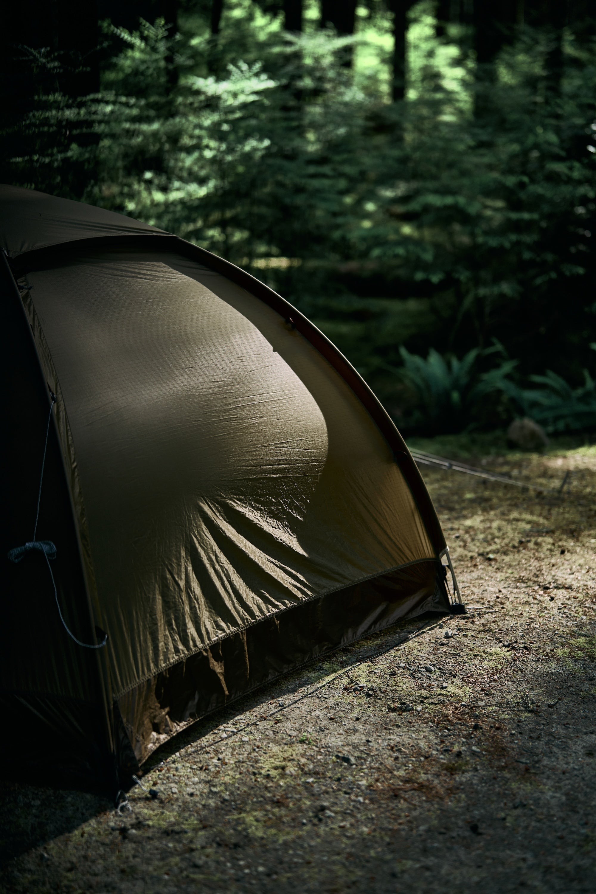 Fjallraven / Abisko Dome 3 – wanderout