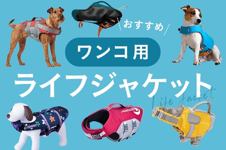 最新犬用ライフジャケット15選】プールや海・川遊びにおすすめな犬用