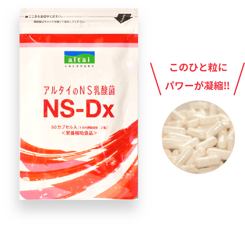 若返り体質研究所 | NS乳酸菌について