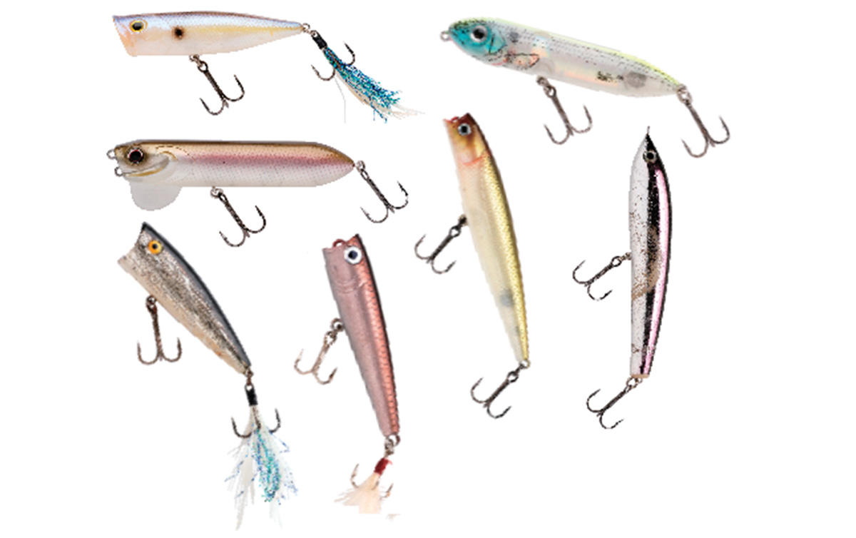 並木敏成のポッパー＆ペンシルベイト道場 ：第2回（全6回） | つり人