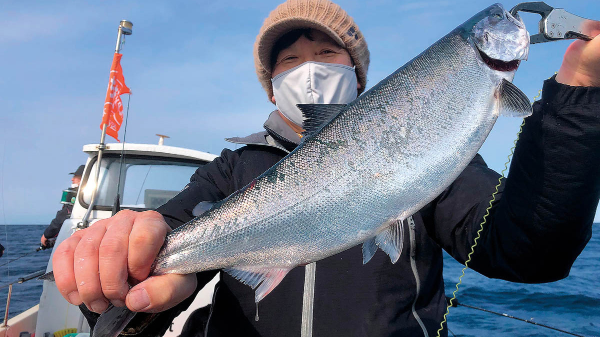 北海道 積丹半島沖のサクラマスを釣って食べる！釣る編 | つり人オンライン