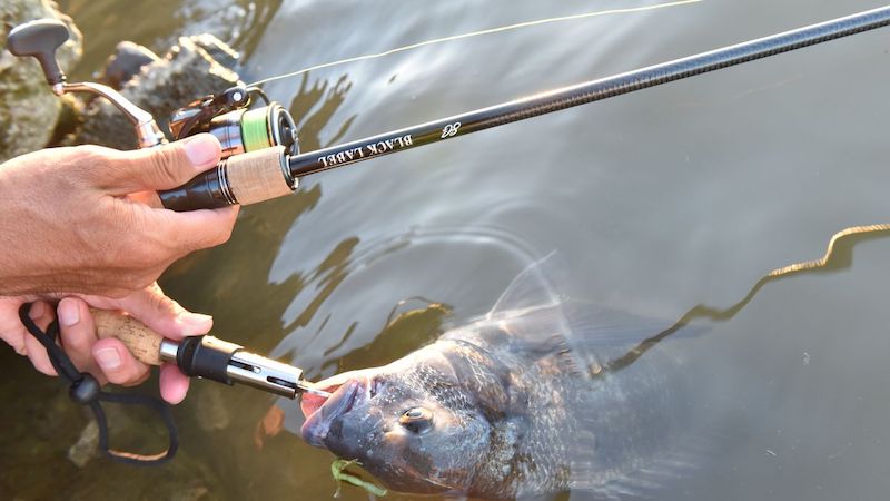 チニングロッドおすすめランキング16選｜シマノ、ダイワなど | つり人