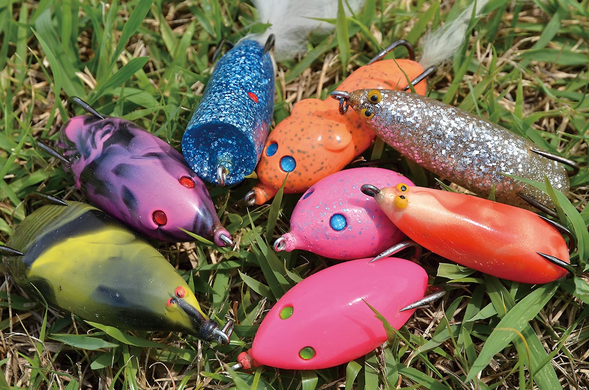 雷魚（ライギョ）釣り入門／ロッド、フロッグ、ルールとマナー 前編