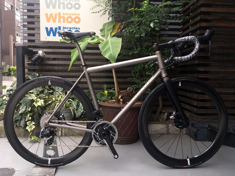 MOOOOOOOTS!! - whoo bicycles