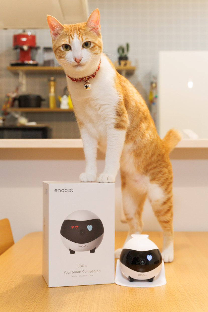 家庭用見守りカメラ「EBO」「ROLA」で家族・ペットとの絆を深めよう