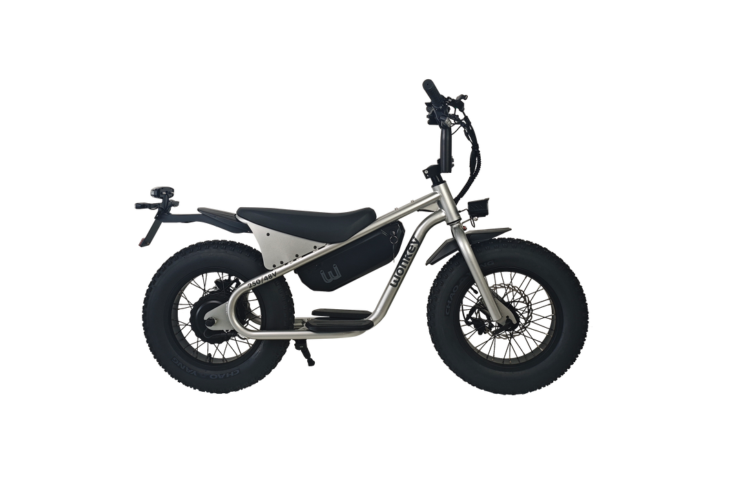 WONKEY 48V SILVER – wobikes