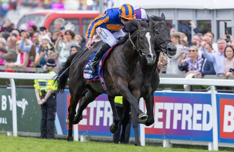 オーギュストロダン（Auguste Rodin） | 競馬データベース | JRA-VAN