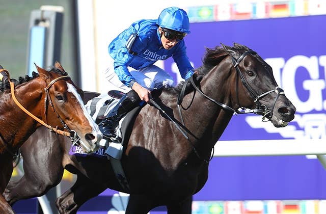 競馬 シャフリヤール クロス ジャケット シャフリヤール｜netkeiba